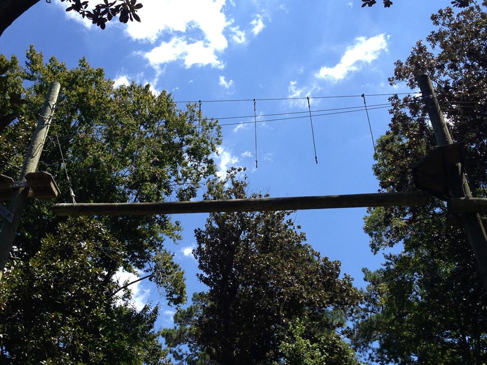 69 swinging log