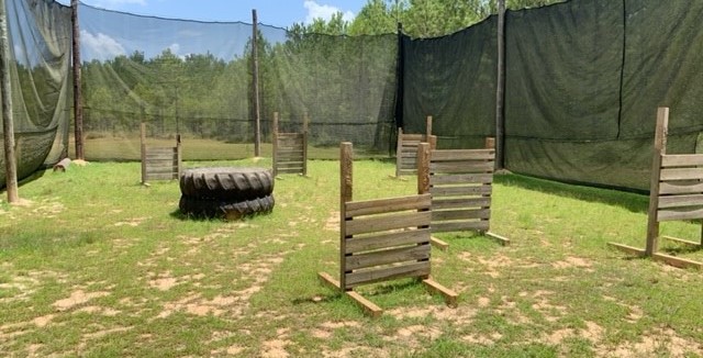 2020 Bazooka Ball